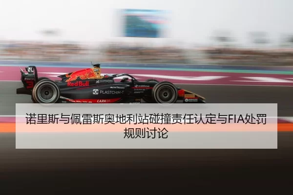 nuo-li-si-yu-pei-lei-si-ao-di-li-zhan-peng-zhuang-ze-ren-ren-ding-yu-chu-fa-gui-ze-tao-lun-3-815.jpg