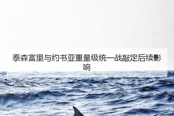 泰森富里与约书亚重量级统一战敲定后续影响